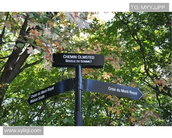 蒙特利尔与多伦多足球对决精彩纷呈谁能笑到最后