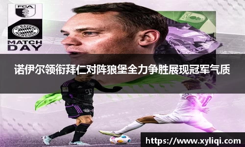 球信网平台