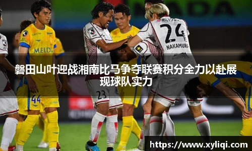 球信网平台