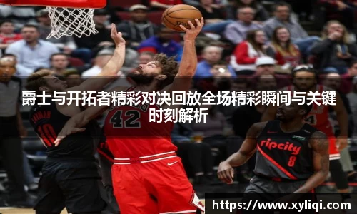 球信网